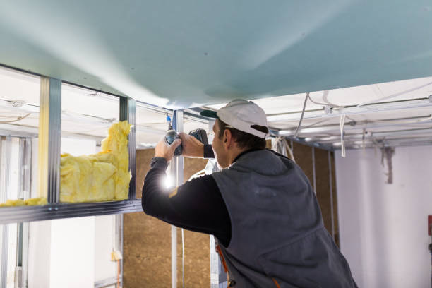 Best Pipe and Duct Insulation  in Spring Hope, NC