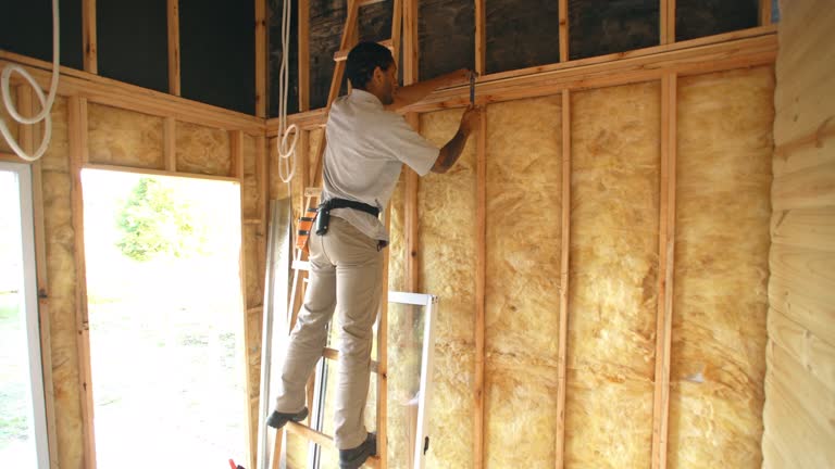 Best Insulation Air Sealing  in Spring Hope, NC